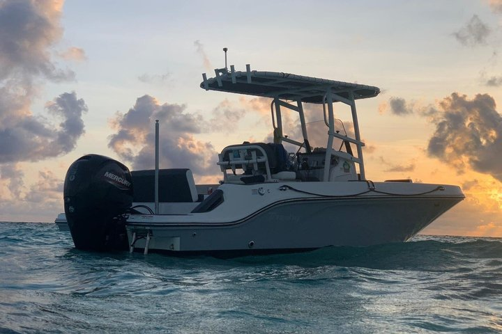 Grand Cayman Private Boat Charter - Stingrays, Snorkel and More! - Photo 1 of 11